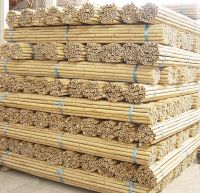 Tonkin Bamboo,Bamboo Canes,Bamboo Sticks,Bamboo Poles,Bamboo Stake