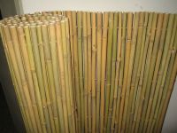 Sell Whole Chained Solid Pole Fencing, BAHIA, Bamboo Fence