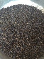 Sell Black Pepper