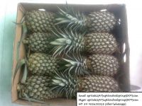 Sell Fresh Pineapples