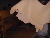 EXPORT OF CRUST & FINISHED LEATHER FROM BANGLADESH.