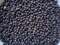 Black Matpe Whole Black Matpe Black Matpe Beans Split Matpe Split Matpe