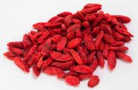 dry fruits organic dried blueberries goji berry