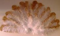Quality Ostrich/Duck Feathers