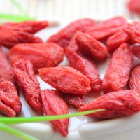 Top Quality Dried Goji Berry with Low Price