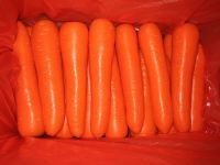 Farm fresh carrots