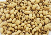 High Quality Black Eye Beans For Sale