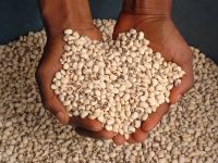 CowPeas