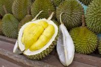 Fresh Durians