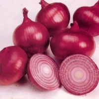 Wholesale Price Fresh Red & White Onion