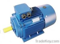 Y2 series Electric motor