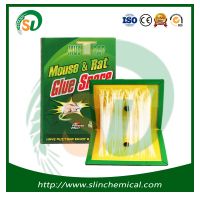 Pest Control Adhesive Humane Rat Trap Sticky Mouse Trap Glue Board