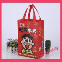 Customized Non Woven Bag, PP Woven Bag for Shopping/Promotion/Advertising