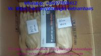 All length available BULK HAIRS RAW HAIRS VIETNAMESE AND CAMBODIAN hairs