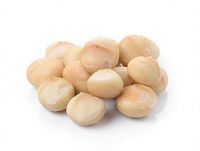 Macadamia Nuts Kernels