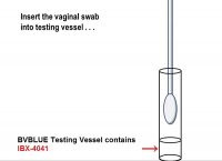 Chromogenic Ingredient IBX-4041 for Bacterial Vaginosis BV Blue kits
