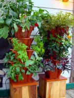 Patio Garden System