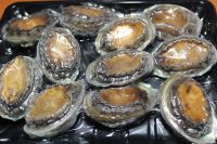 Fresh/Frozen Abalone Shellfish