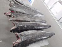 Whole Frozen Swordfish