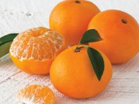 Fresh Tangerine Mandarin Orange