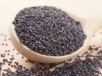 Bulk Blue/White/Brown Poppy Seeds