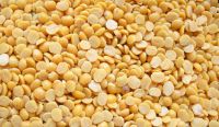 Pulses and Lentils Moong Dal / Chana Dal / Peas