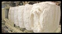 Export all types of Cotton Products