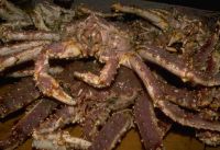 Wild Caught Live King Crabs For Sale