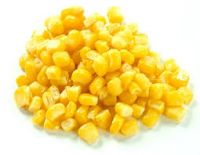 Canned sweet corn / Canned corn kernels / Canned corn factory For Sale