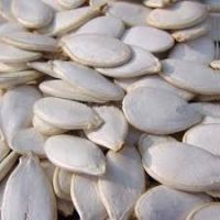 quality supplier snow white melon pumkin seeds for Sale