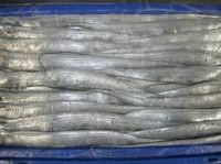 Frozen Ribbon Fishes For Sale