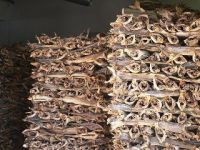 Quality Dried Stock Fish For Sale