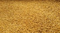 Quality  For Animal Feed For Sale