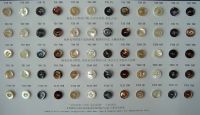 Sell natural shell buttons