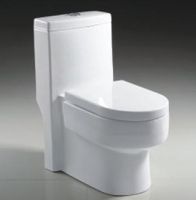 Toilet (344)