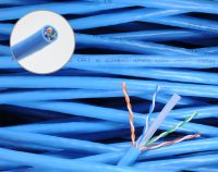 Sell Cat6 Ethernet Data Cables 1000ft Solid Premium Quality