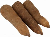 Yam Tubers