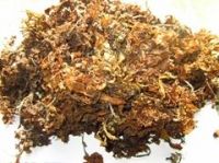 SARGASSUM  SEAWEED (Raw)