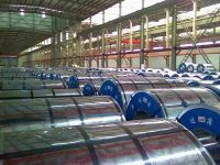 Sell galvanzied steel coill or sheets