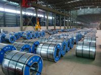 Sell galvanized steel coils