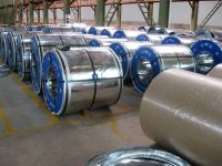 sell SGCC steel coil