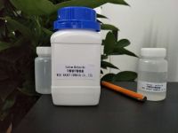 Offer Professional 30% Sodium Methanol solution CH3ONA with High Purity