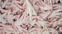 Quality Frozen Processed AA Grade Chicken Paws & Feet For Sale