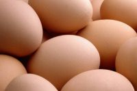 Fresh Brown Eggs, White And Brown Chicken Eggs