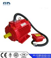 D1CS Flammable-proof 3-Phase Asynchronous Motor