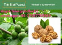 Walnut kernels butterfly thin shell walnut