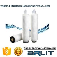 Pleated Micropore Membrane Water Filter Cartridge for Water Treatment