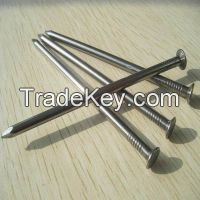 Wire Nail and Common Nails Galvanized with Q195 or Q235 Products (3/8