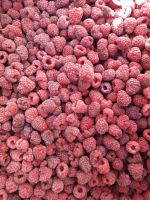 IQF Frozen Raspberry