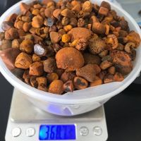 High Grade Ox Gallstones 80/20 Cow, ox, cattle Gallstones for sale